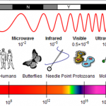 light spectrum