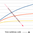 Production and Decay of Fission Products