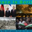 Peace Is Boring